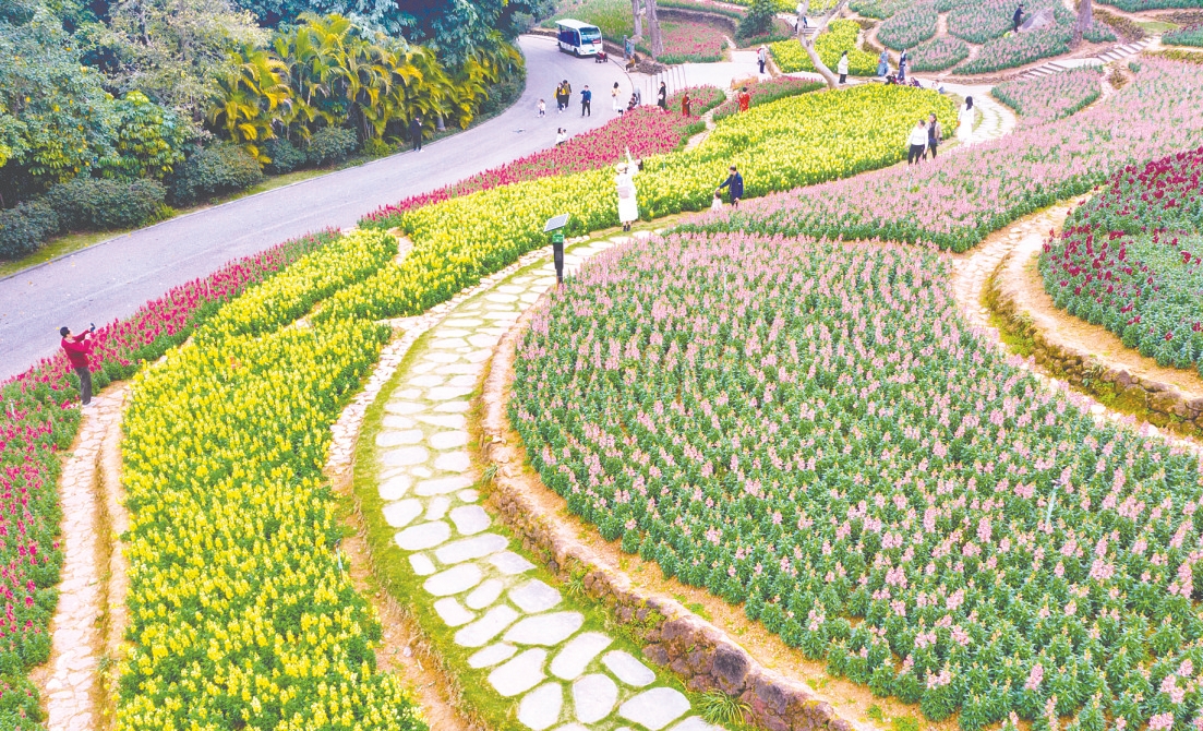 图片1.jpg