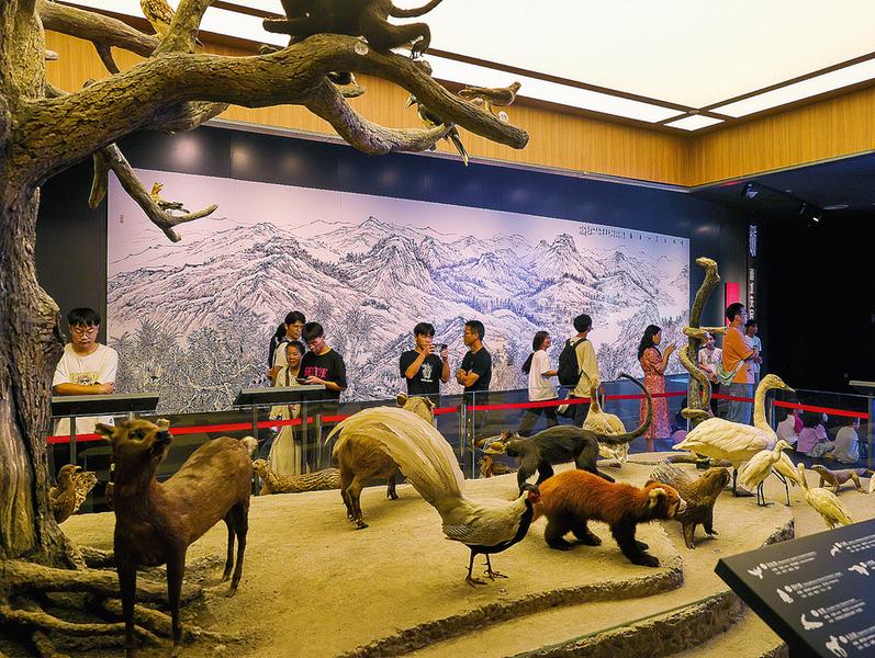 图片1.jpg