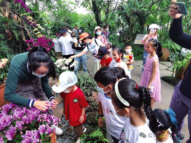 图片1.jpg