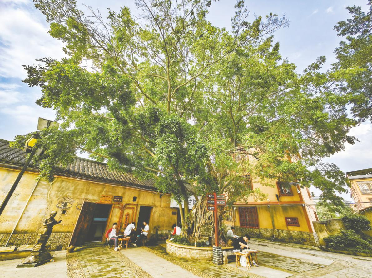 图片1.jpg